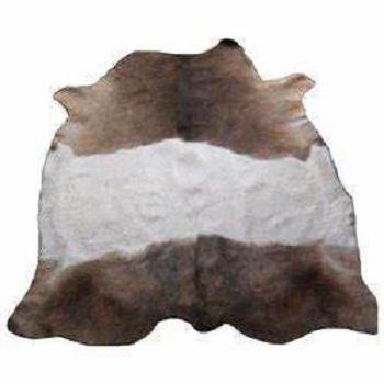 Premium Quality Wet Salted and Dried Cow Hides and Skins from Reputed Supplier