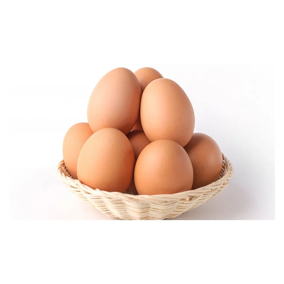 FARM FRESH CHICKEN TABLE EGGS FERTILE/ HATCHING CHICKEN EGG/ BROILER CHICKEN EGGS