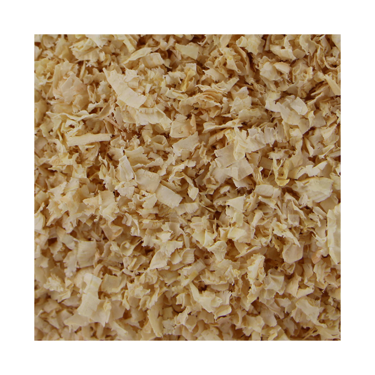 PINE / WOOD SHAVING/ WOOD PELLET for sale