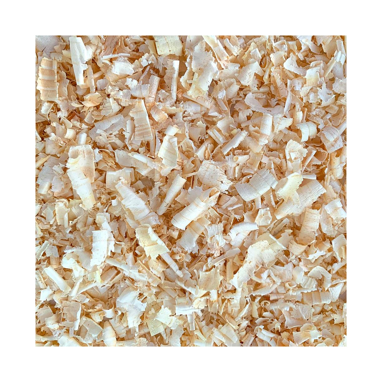 PINE / WOOD SHAVING/ WOOD PELLET for sale