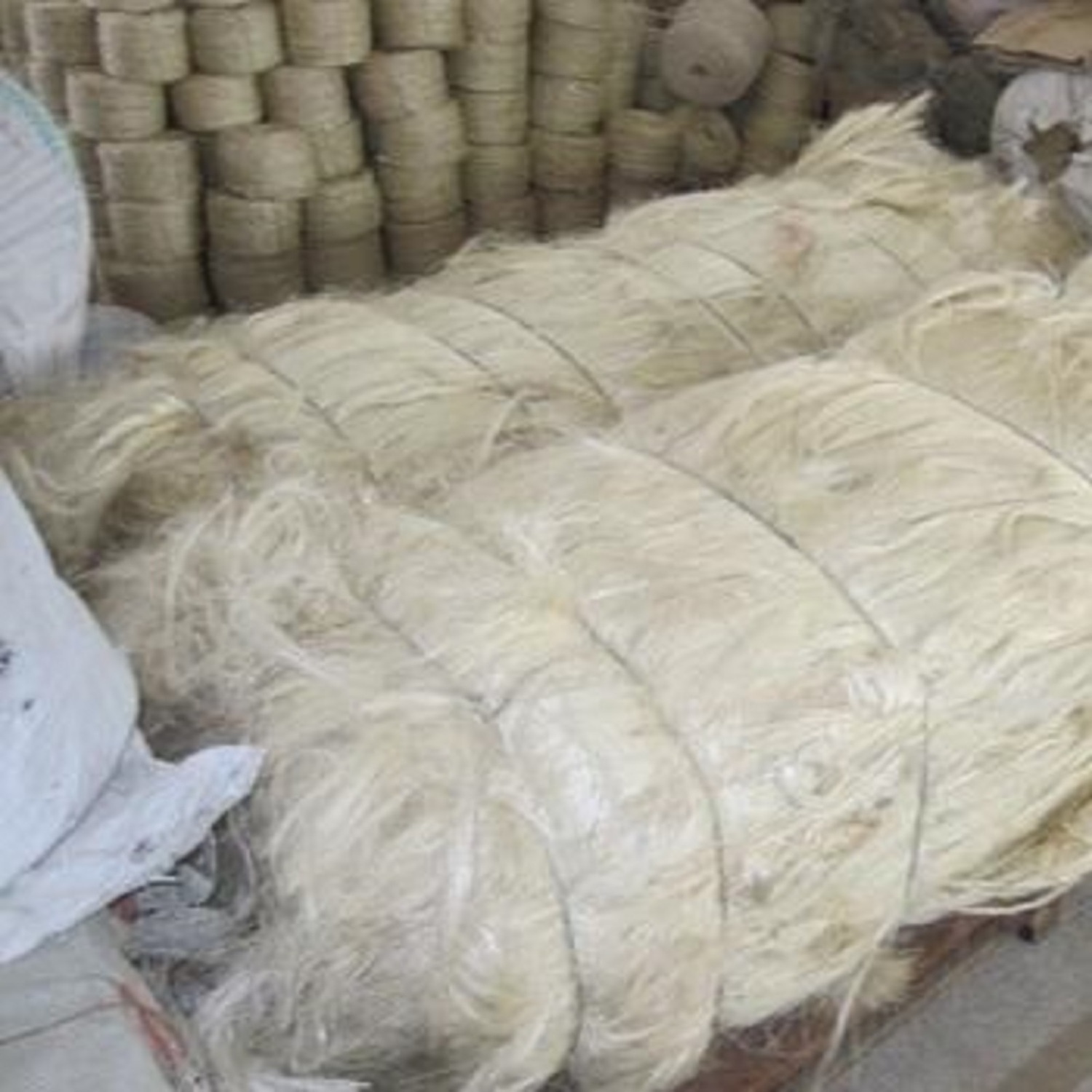 Sisal Fiber Cheap B Grade for Gypsum Board / wholesale 100% Sisal Fiber for sale hot discount