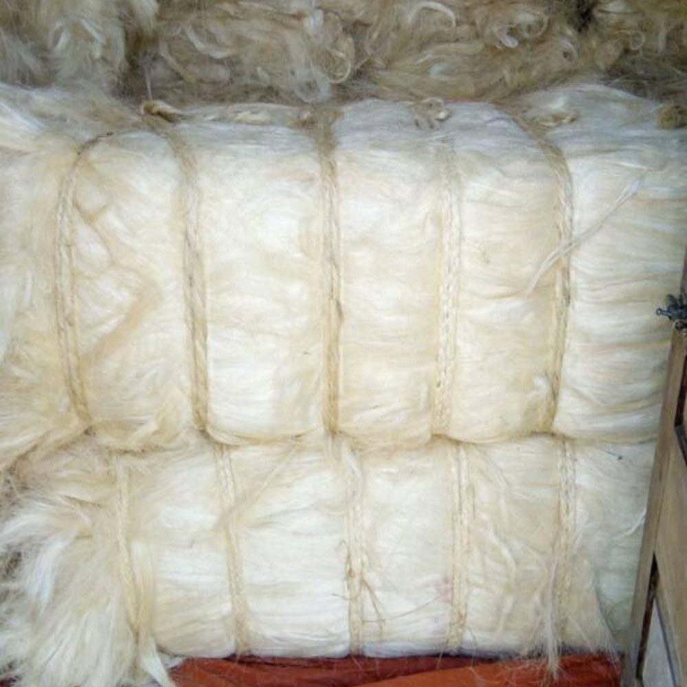 Sisal Fiber Cheap B Grade for Gypsum Board / wholesale 100% Sisal Fiber for sale hot discount