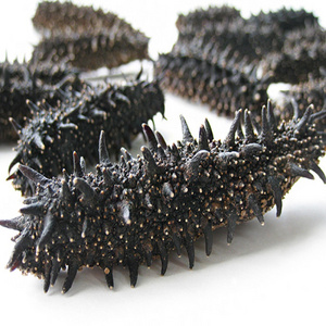 Factory Supply Bulk Wholesale Price Top Quality Black Color Dried Sea Cucumbers Available For Sale