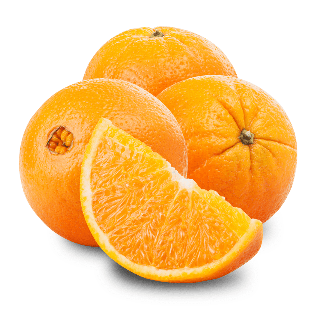 2024 Fresh Lemon exporters Fresh oranges/Valencia and Navel Fresh Orange/Fresh Valencia Orange