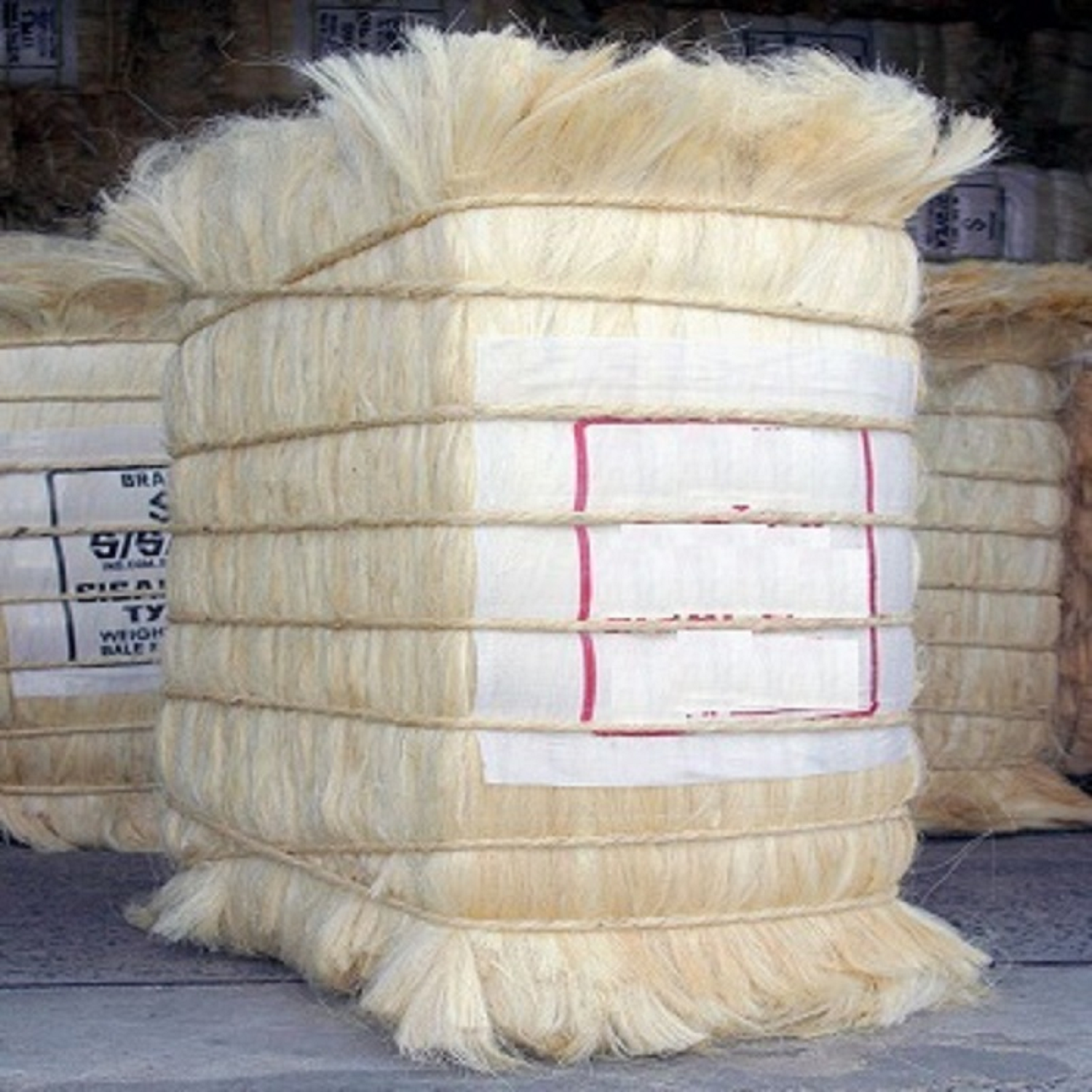 Sisal Fiber Cheap B Grade for Gypsum Board / wholesale 100% Sisal Fiber for sale hot discount