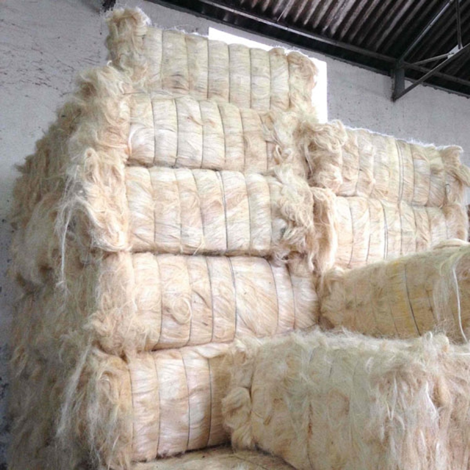 Sisal Fiber Cheap B Grade for Gypsum Board / wholesale 100% Sisal Fiber for sale hot discount