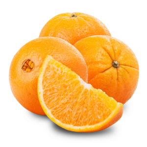 Natural High Quality Sweet Fresh Citrus Mandarin Navel Orange