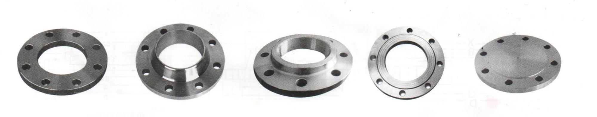 ANSI B16.5 Stainless Steel 321 Raised Face class 150 lb Slip On Pipe Flanges