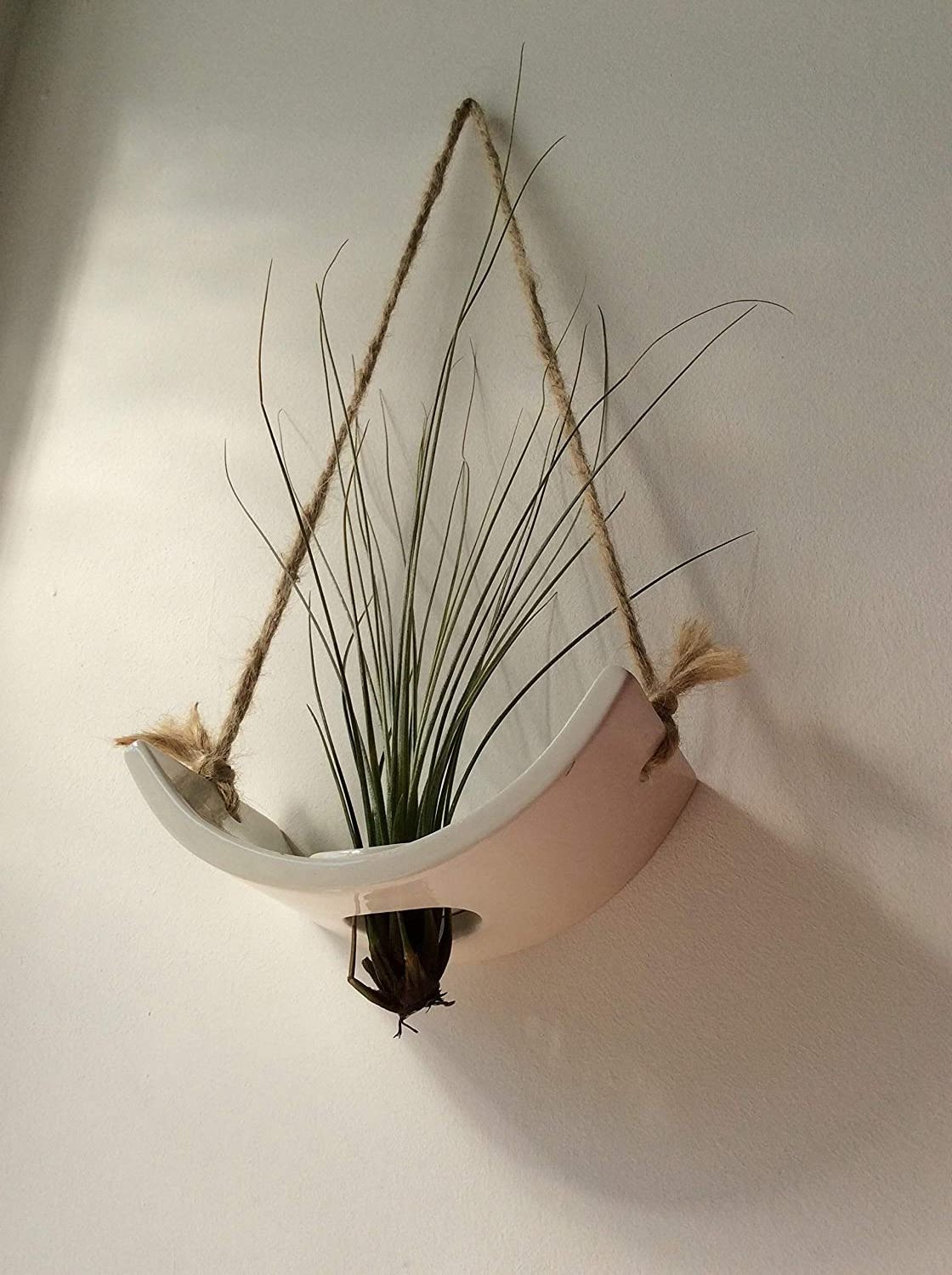 White Glossy Glazed Ceramic Indoor Air plant Holder with Jute Rope Hanging Cord An Ideal Wall Hanger for Tillandsia Air Plants.