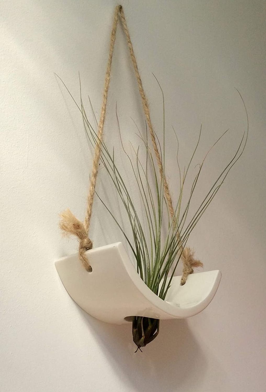 White Glossy Glazed Ceramic Indoor Air plant Holder with Jute Rope Hanging Cord An Ideal Wall Hanger for Tillandsia Air Plants.