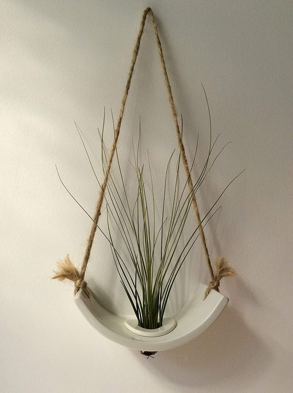 White Glossy Glazed Ceramic Indoor Air plant Holder with Jute Rope Hanging Cord An Ideal Wall Hanger for Tillandsia Air Plants.