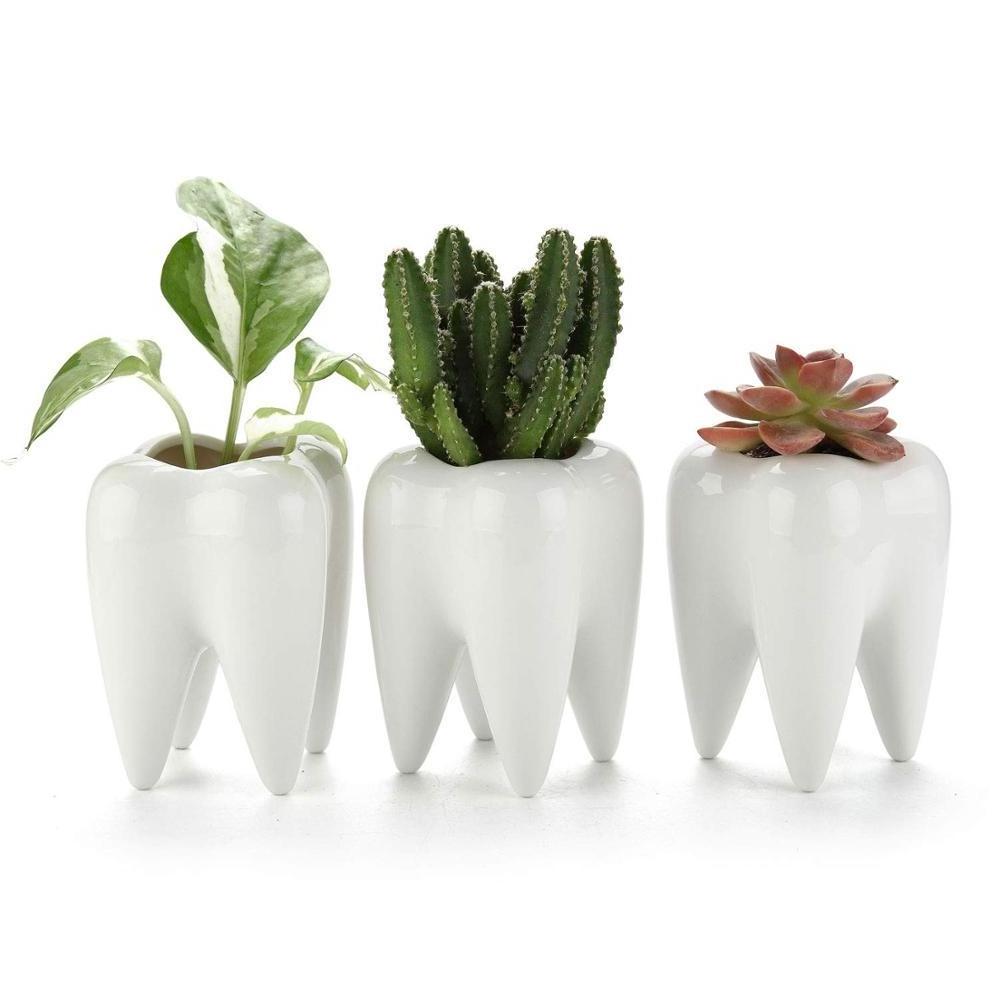 ceramic plant pot Tooth Succulent Pots 3-Pack, Cute White Ceramic Planter Cactus Plant Pot, Creative Pen Pencil Holder