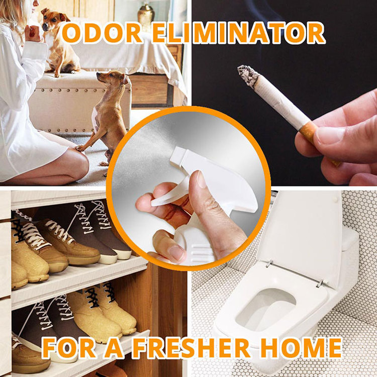 Custom Odor Remover Air Freshener Spray Toilet Shoe Smoke Odor Eliminator