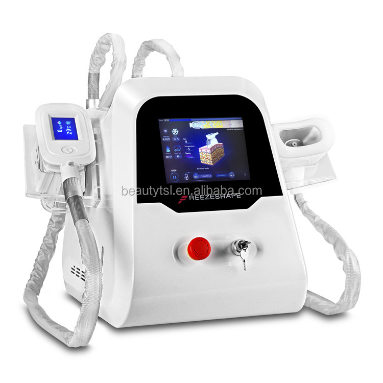 Two Handpieces Cool Body Sculpting Cryolipolyse crioshape vacuum venus freeze lipo cryo machine