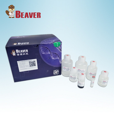 Wholesale BeaverBeads TM Nucleic Acid Circulating DNA Extraction Kit 70404-100