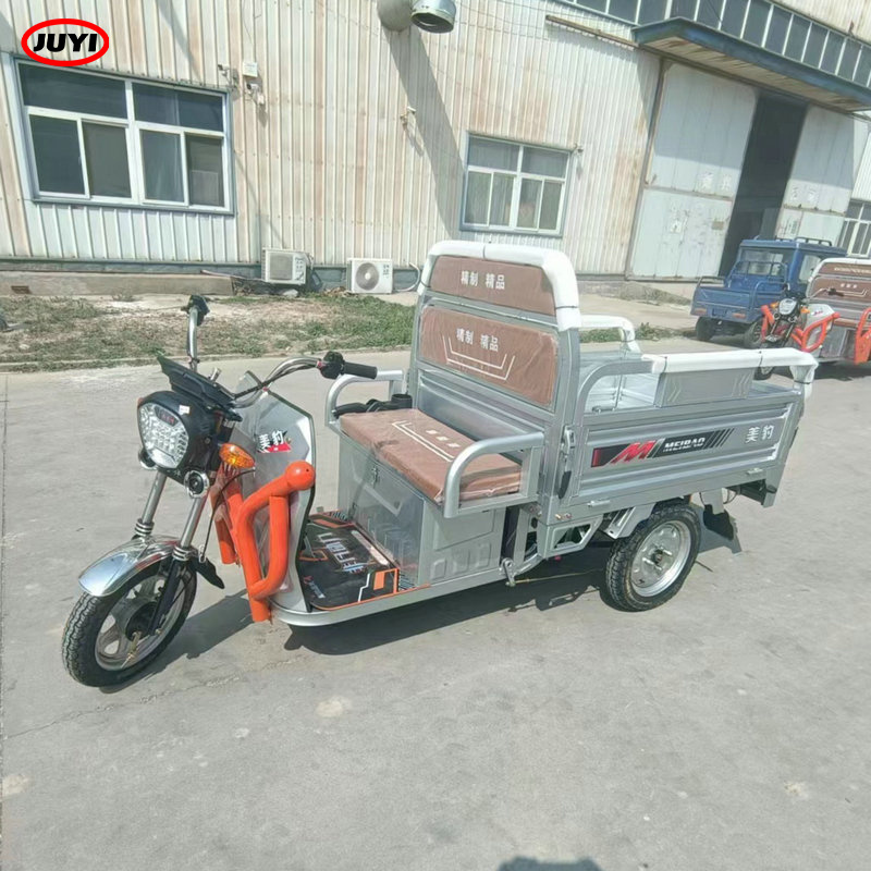 Custom Service motorized tricycle Scooter open body pulling freight express transport 3 Wheel Electric Tricycle