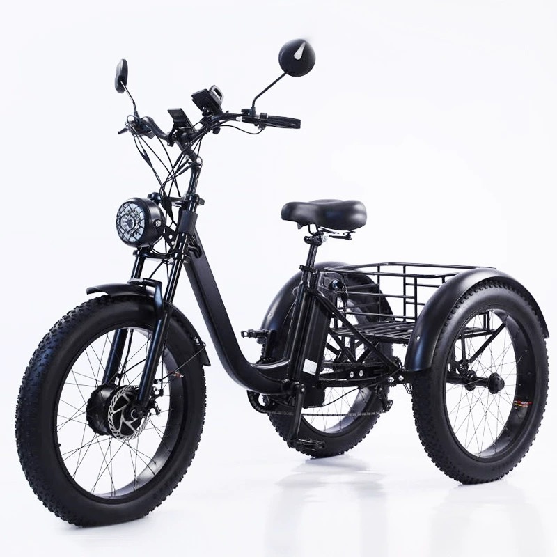 20 inch 48V750W500W Electric Cargo Bike power electric tricycle coarse tire snow lithium electric three-wheeled bicycle