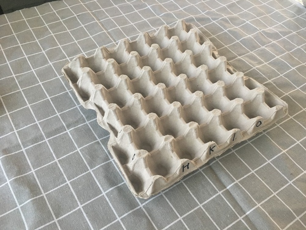 Factory price Egg tray pulp molded packaging mold making