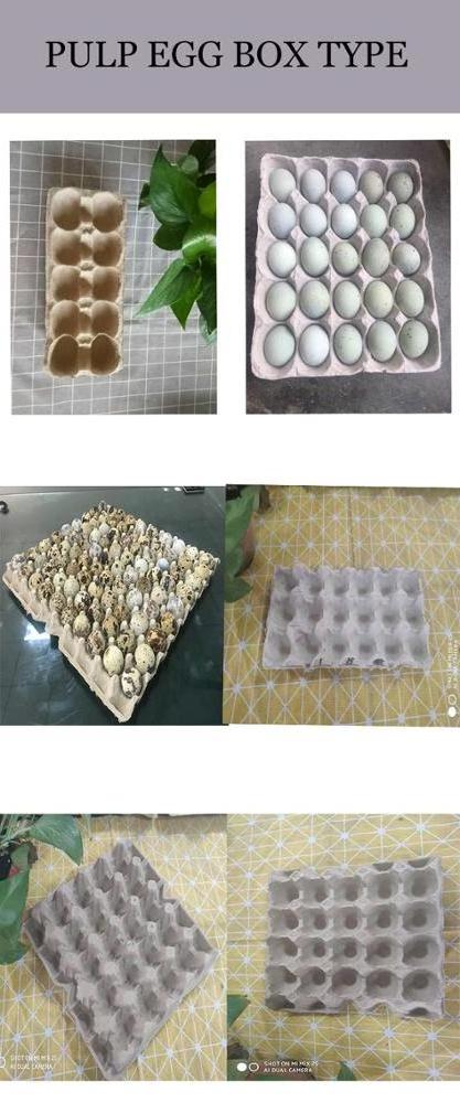 South East Asia Mini Semi Automatic Thermoforming Quail Egg Paper Tray Dryer Needed Mold