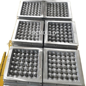 customized   molds for egg tray