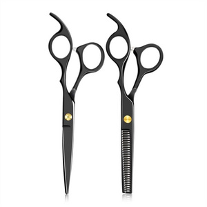 Professional Hairdressing Thinning Scissors Stainless Steel Sharp Edge 6 inches Hairdresser High Quality Thinning Scissors