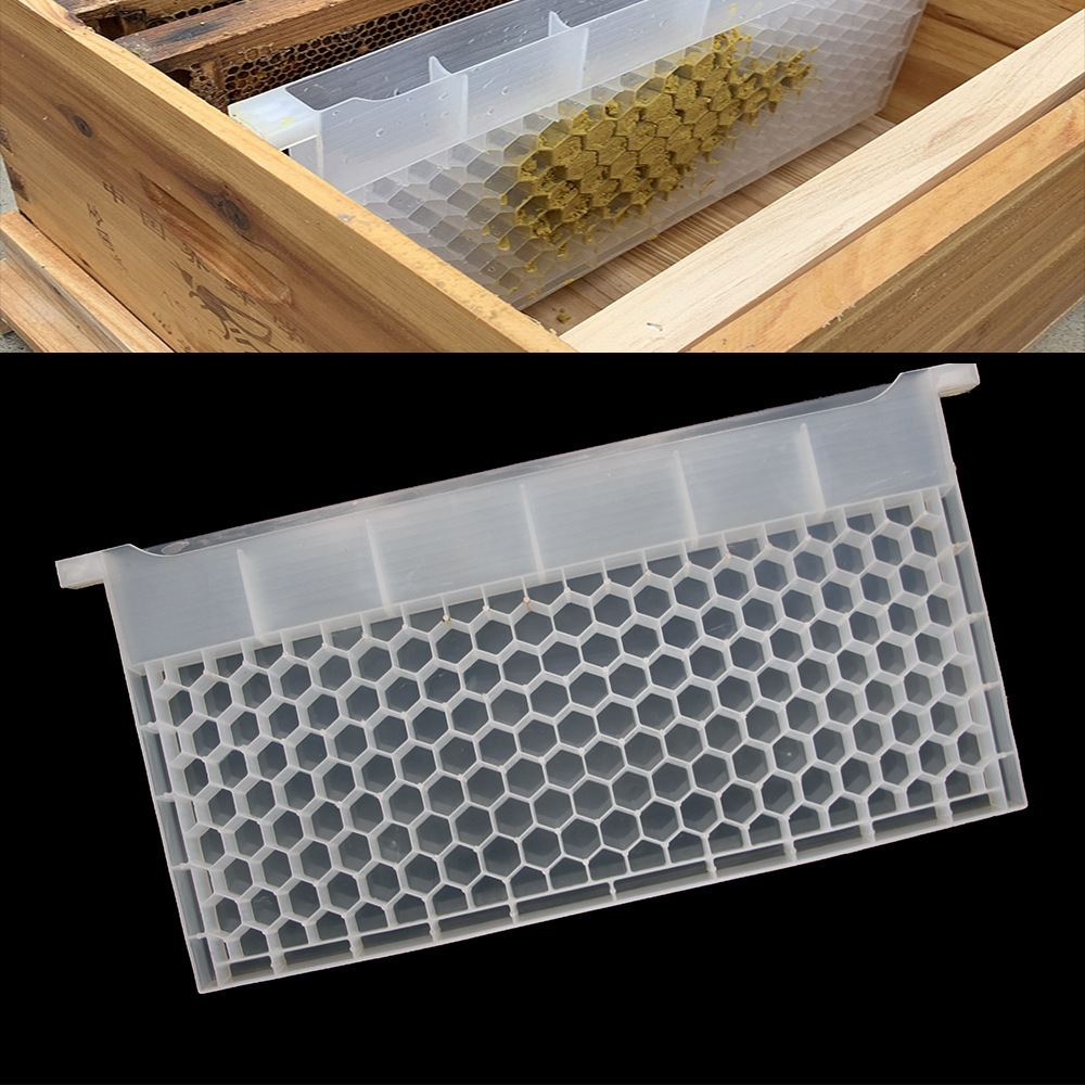 Bee pollen feeder Bee pollen box Porous plastic pollen feeder Beekeeping tools Beehive tools