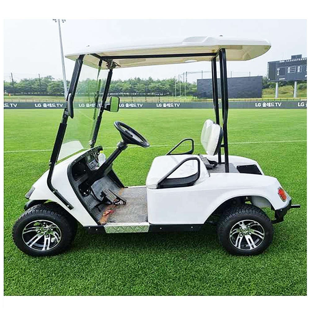 2023 New Design Club Carts Golf Buggy 2 Seat Mini 48V Lithium Battery Passenger Car Customized Prices Electric Golf Car 80-100km