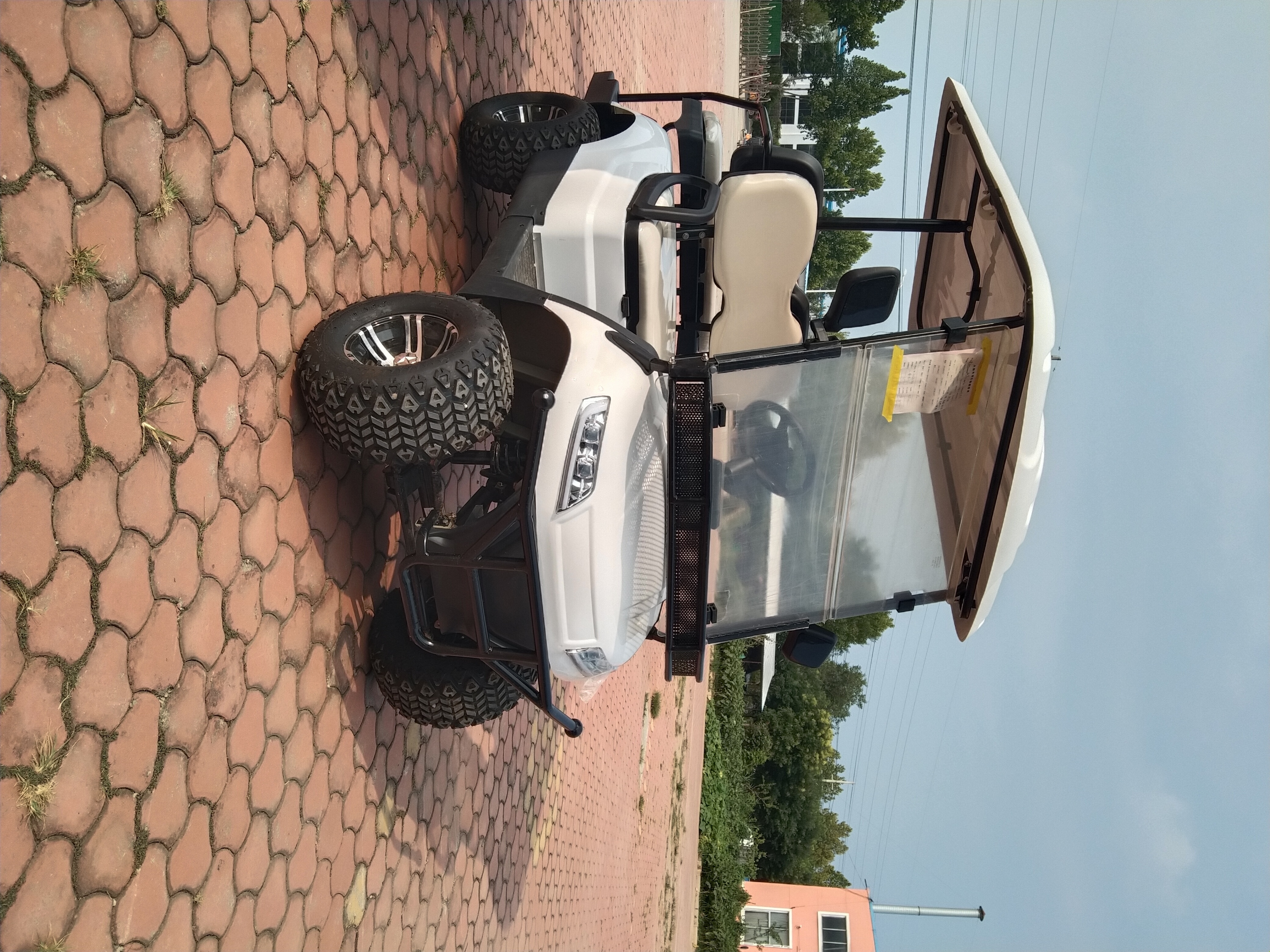 Beemotor New Design Golf Cart Carrito De Golf Prices Electric Golf Car