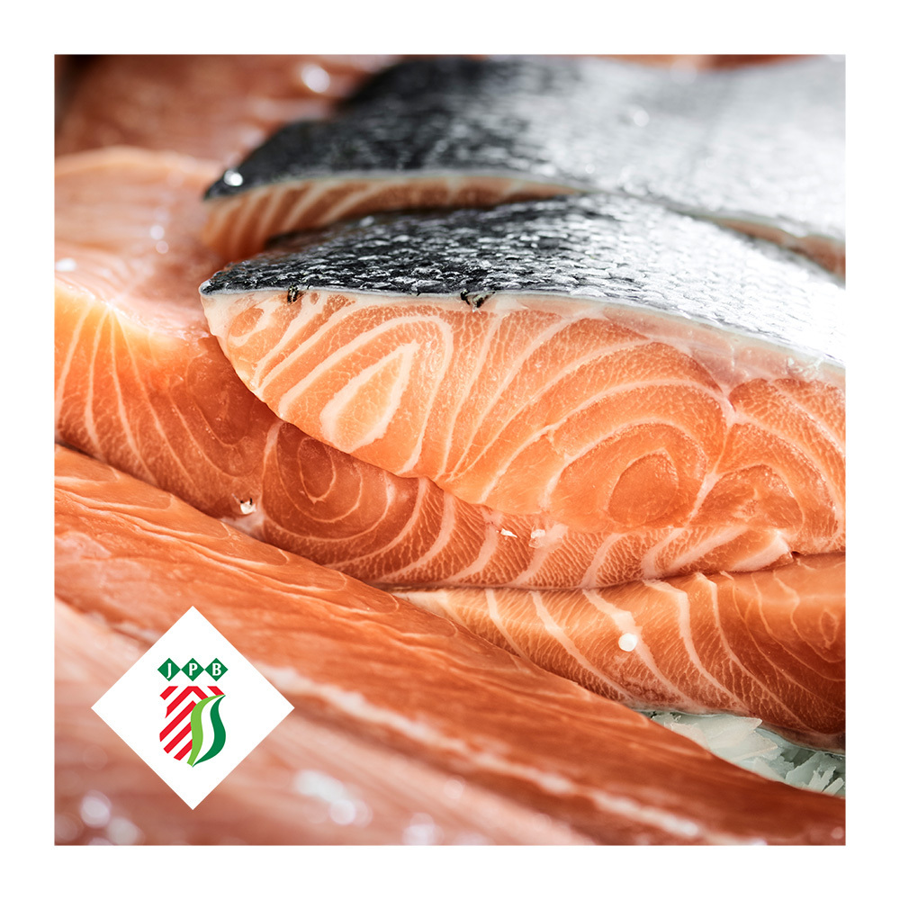 Frozen salmon fish fillet Norway seafood fillet portions loins steaks slices private label for wholesale price