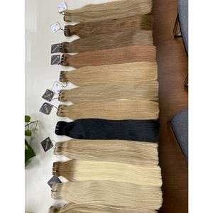 100% Raw Vietnamese Human Hair Extensions Light Colors Machine Weft Straight With Standard Double Drawn From Luxshine Hair