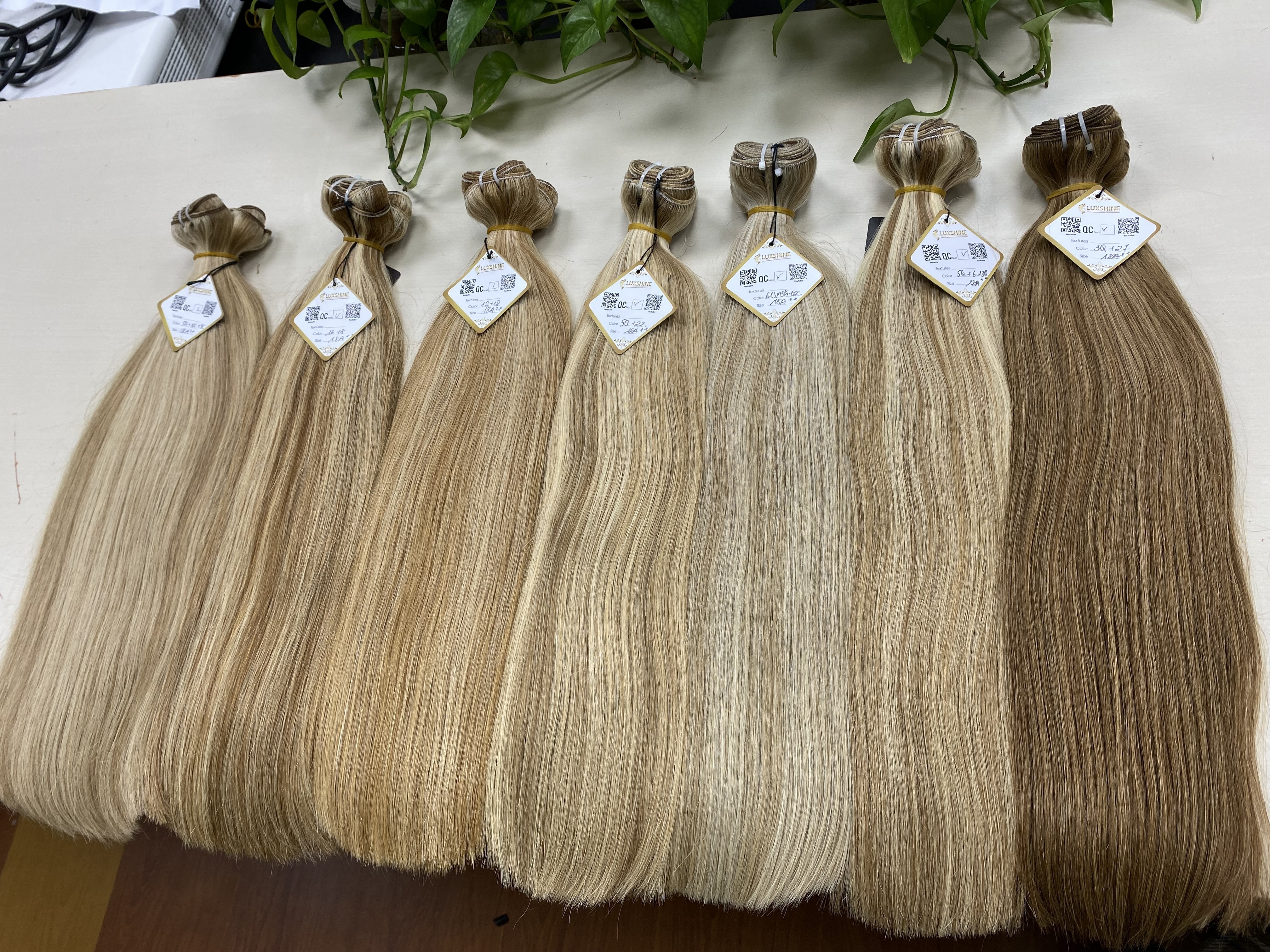 100% Raw Vietnamese Human Hair Extensions Light Colors Machine Weft Straight With Standard Double Drawn From Luxshine Hair