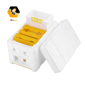 Foam Queen Bee Mini Mating Box Plastic Polystyrene Pollination Hive Queen Breeding Rearing Box Other Animal Husbandry Equipment