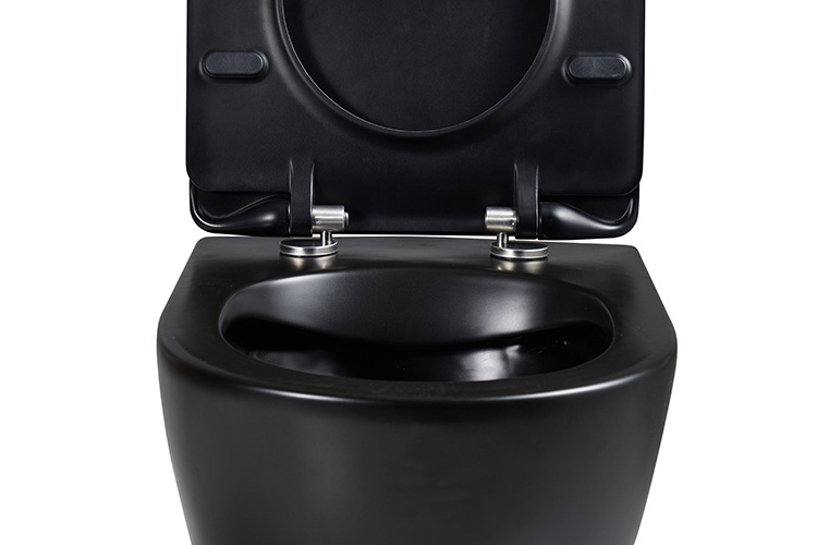 Sanitary ware bathroom ceramic matte black colored d shape washdown rimless wall hung toilet