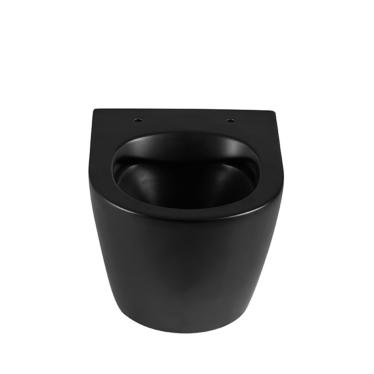 Sanitary ware bathroom ceramic matte black colored d shape washdown rimless wall hung toilet