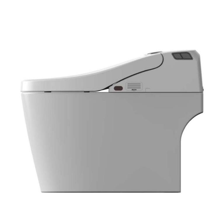 CUPC Instant heating full-automatic Toilet intelligent closestool with tank smart wc