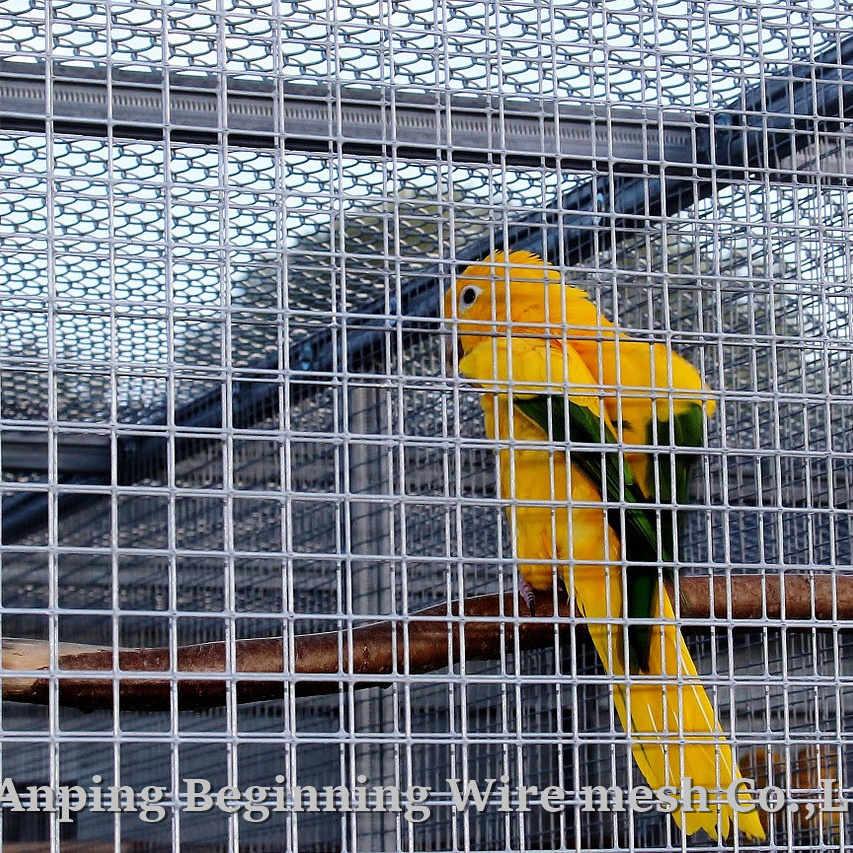 silver anti-corrosion welded aviary bird cage wire mesh  galvanized  welded mesh panels