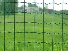 Farm Use Fence Cage Wire Roll Galvanized Welded Wire Mesh