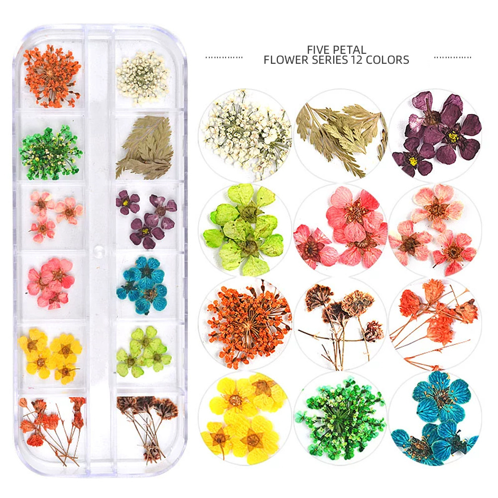 Beien 3D Natural Dried Flower Nail Decoration Sunflower and Daisy Dried Flower Professional Nail Sticker