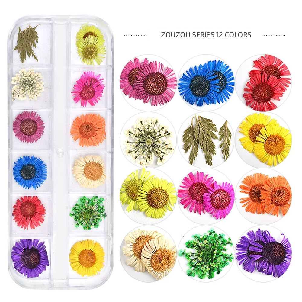 Beien 3D Natural Dried Flower Nail Decoration Sunflower and Daisy Dried Flower Professional Nail Sticker