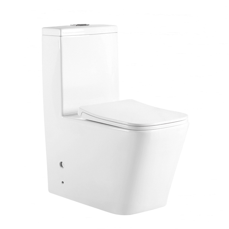 Unique One Piece Toilet Bowl S-trap Washdown Porcelain Wc Toilet Bidet For Sale