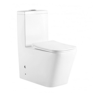 Unique One Piece Toilet Bowl S-trap Washdown Porcelain Wc Toilet Bidet For Sale