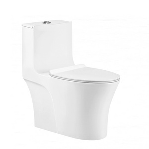 European White Water Closet Tank Toilet One Piece Nightstool Siphon Jet Flushing Closestool