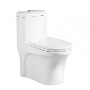 European White S-trap One Piece Toilet Closestool Single Flush Bidet Ceramic Water Tank Toilet