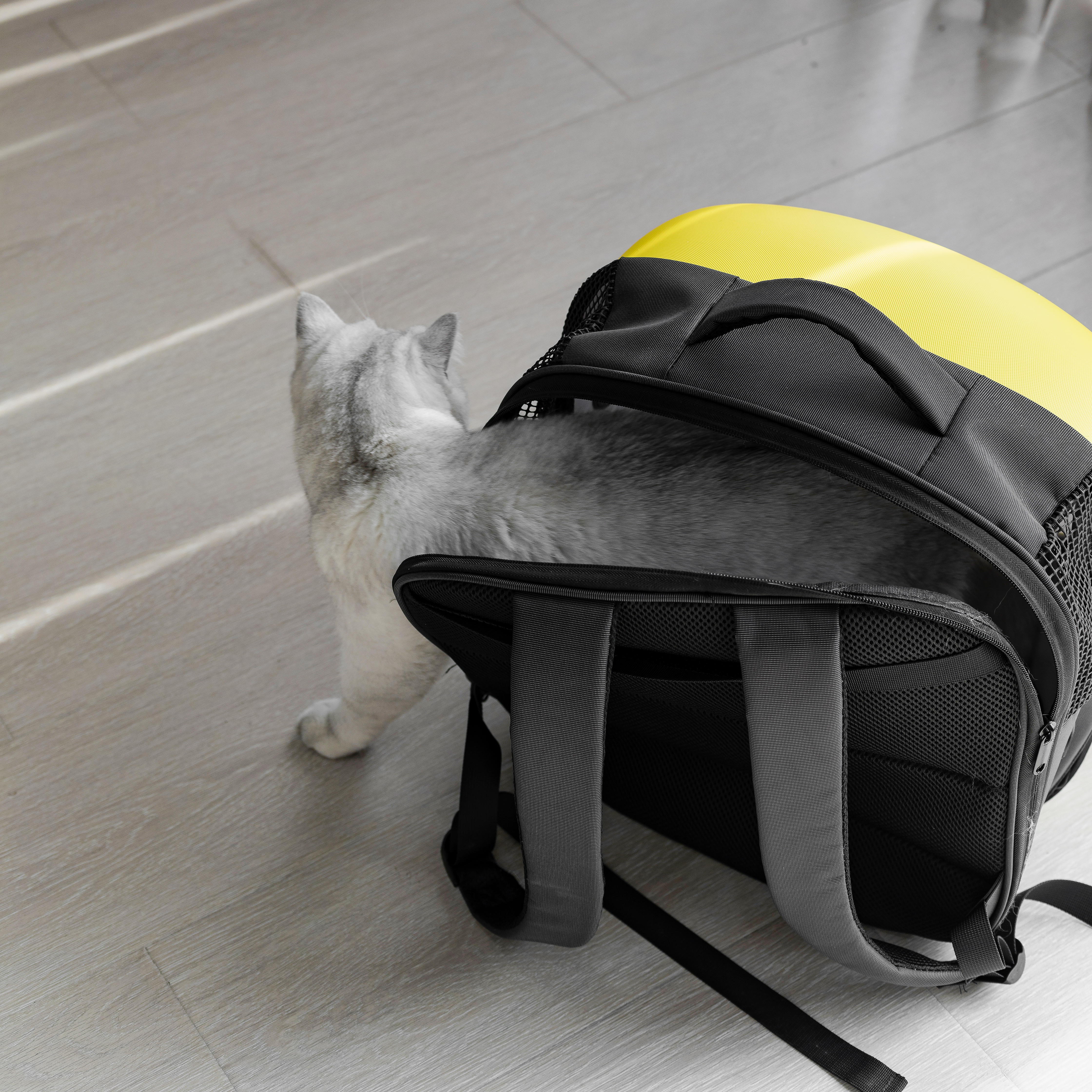 Breathable pet backpack hard Shell Built-in fan & light dog cat pet carrier backpack bag