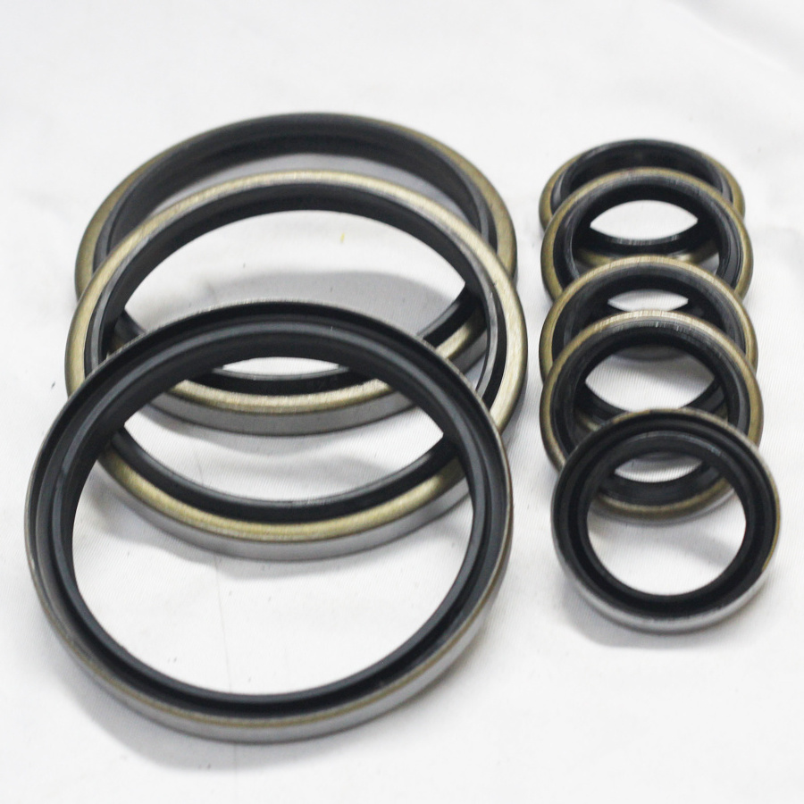 Dkb Oil Seal Hydraulic Cylinder Dust Wiper Piston Rod Main Seal