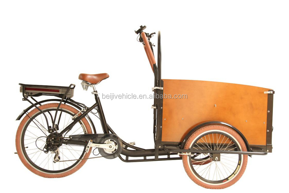 New design Denish Holland cargo coffee bike 3 wheel recumbent trike frame