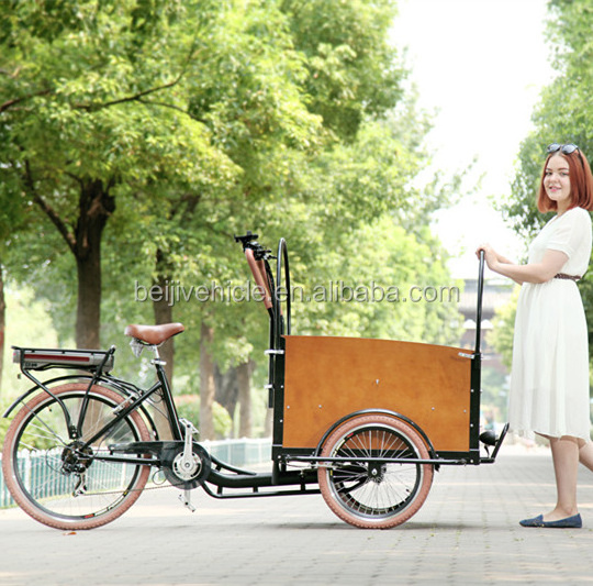 New design Denish Holland cargo coffee bike 3 wheel recumbent trike frame