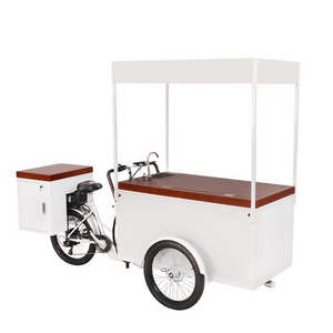 Larger Capacity Electric Freezer Cart Tricycle Ice Cream Bike in Bicycle with Solar