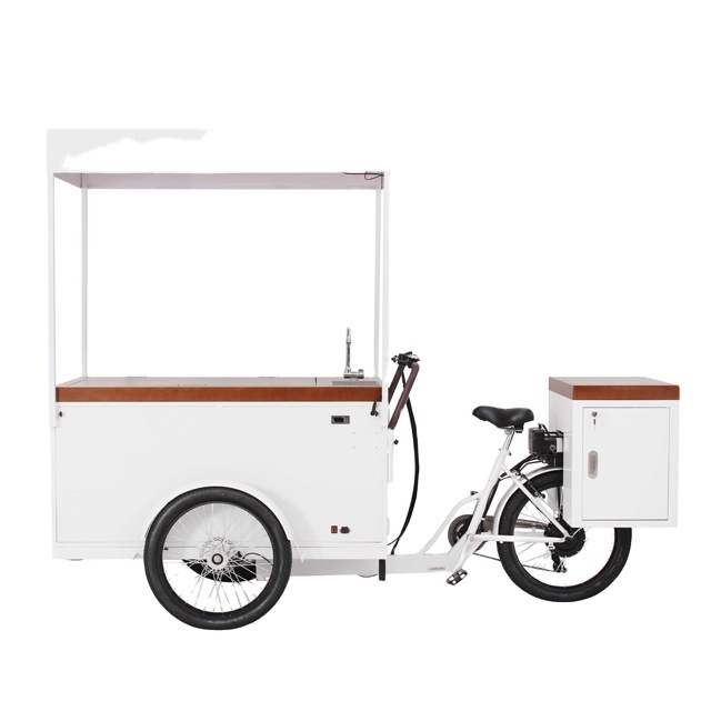 Larger Capacity Electric Freezer Cart Tricycle Ice Cream Bike in Bicycle with Solar