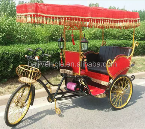 48V 800W passenger three wheel pedicab electric rickshaw